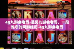 ag九游会老哥-遇见九游会老哥，一段难忘的网游经历-ag九游会老哥