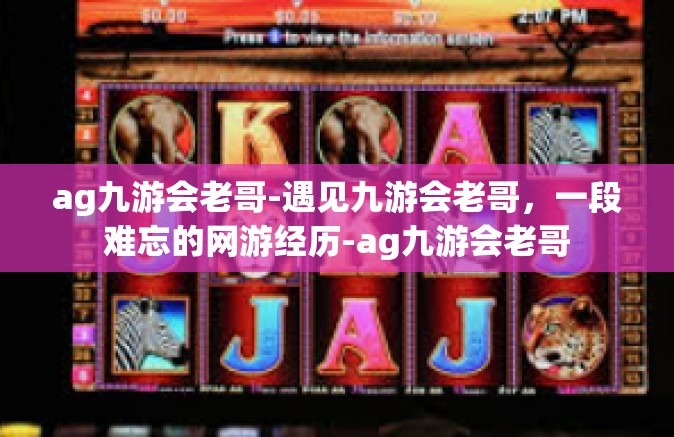 ag九游会老哥-遇见九游会老哥，一段难忘的网游经历-ag九游会老哥